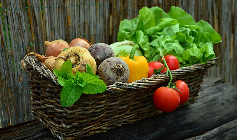 Vegetable basket